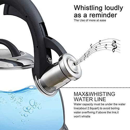 Ergonomic Whistling 25 qt Stainless Steel Tea Kettle