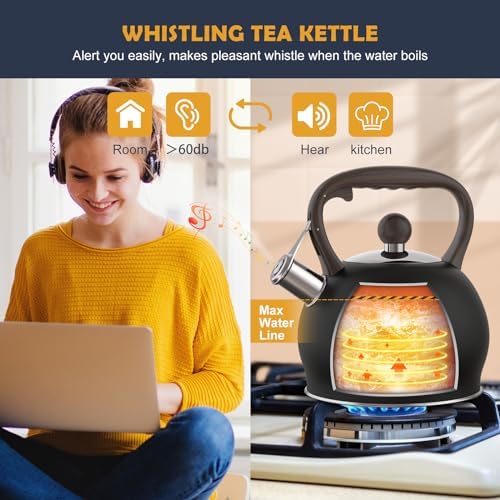 AMFOCUS264 Quart Ergonomic Stainless Steel Tea Kettle with Whistle Black