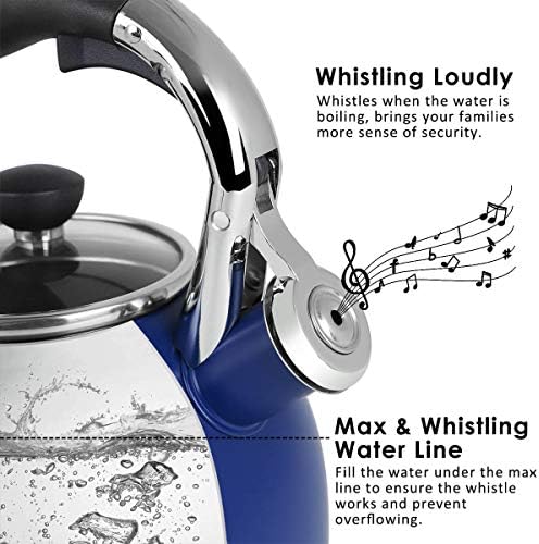 Sturdy 26-QT Stainless Steel Tea Kettle