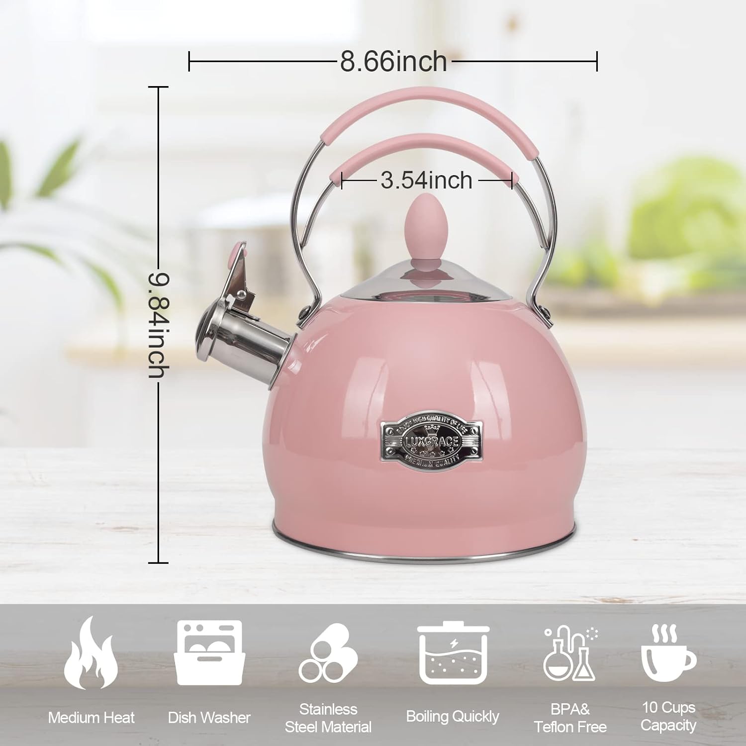 Whistling Stainless Steel Tea Pot 26 Quart Boil FastInduction Compatible