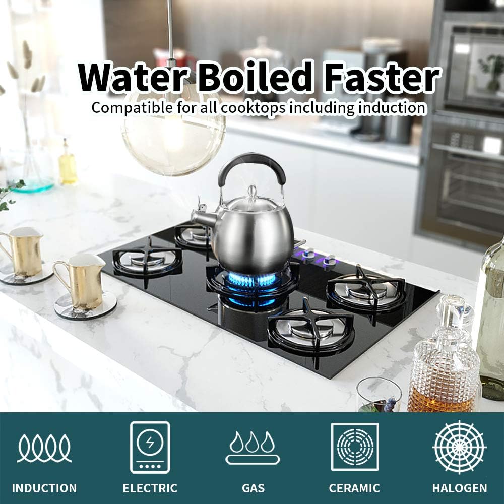 4L Heavy Duty Stainless Steel 304 Tea Kettle