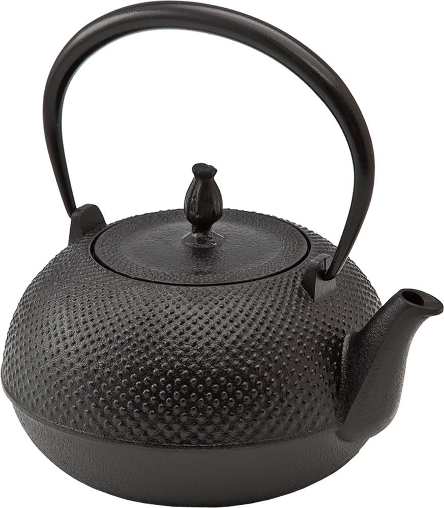 Rare Ikenaga Cast Iron Pot