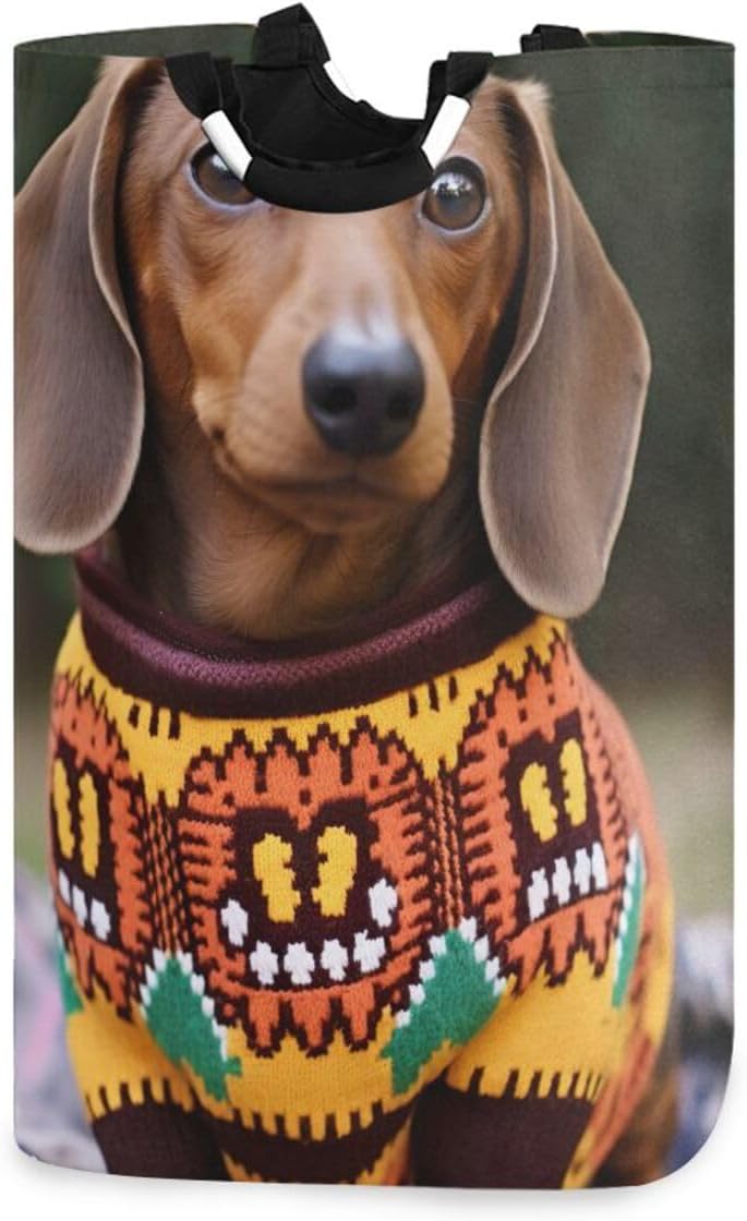 Kigai Collapsible Laundry Basket with Handles Cute Dachshunds Portable Large Waterproof Organizer