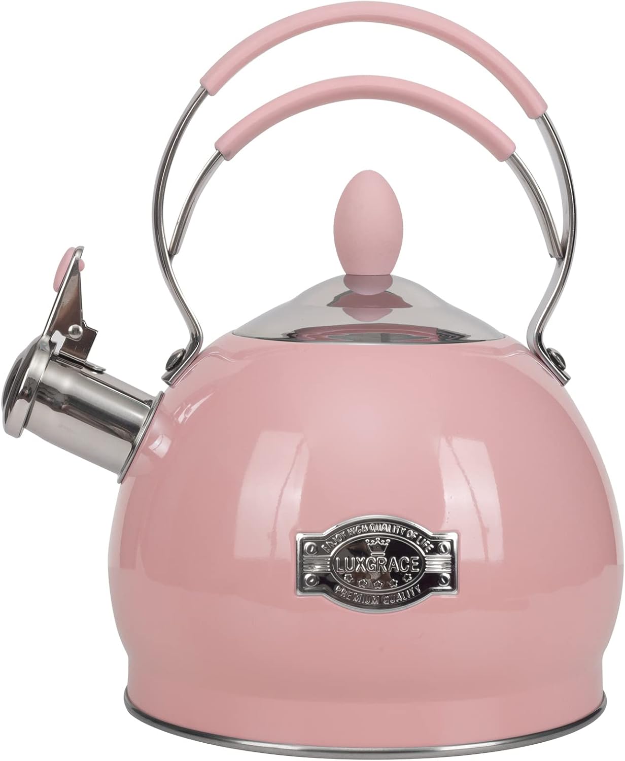Whistling Stainless Steel Tea Pot 26 Quart Boil FastInduction Compatible