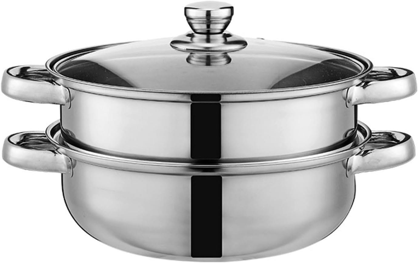 AIZYR Double-Layer Steam Pot with Lid for Cooking Stew Pasta Perfect