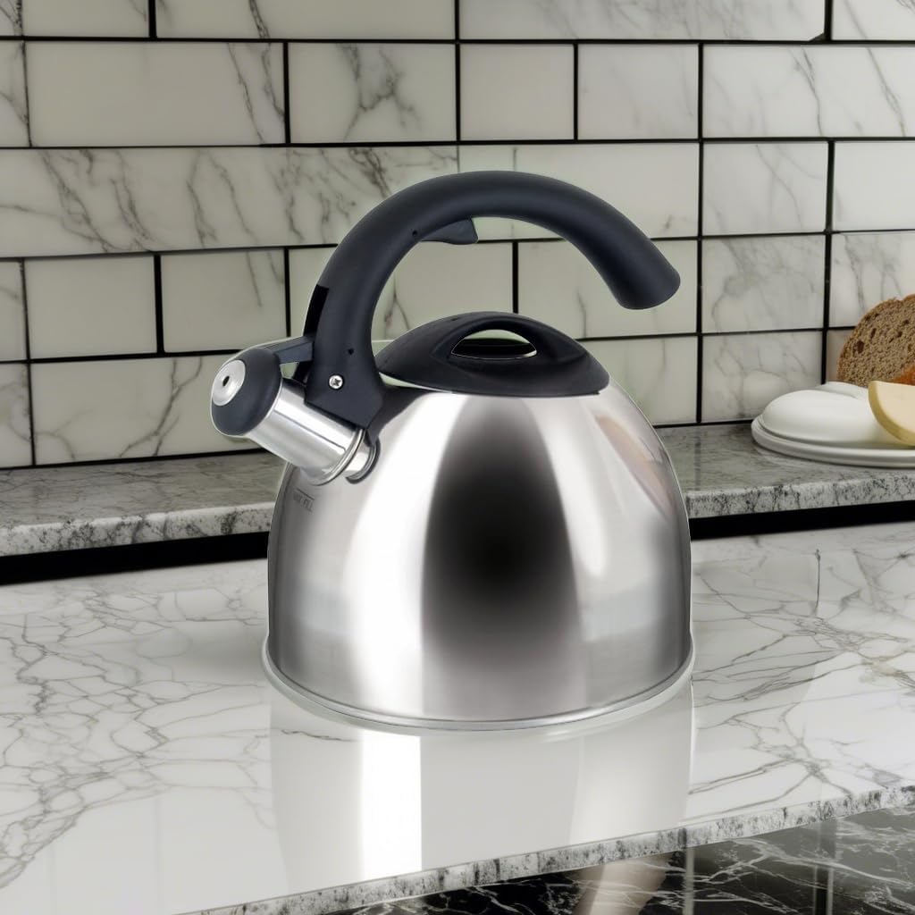 Mr Coffee Gibson Steamline Tea Kettle 2 Quarts Stainless Steel Hand Wash