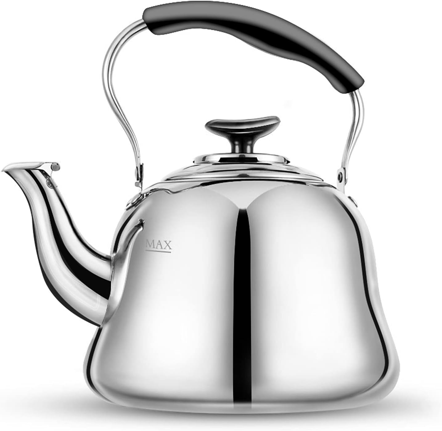 Stainless Steel Tea Kettle