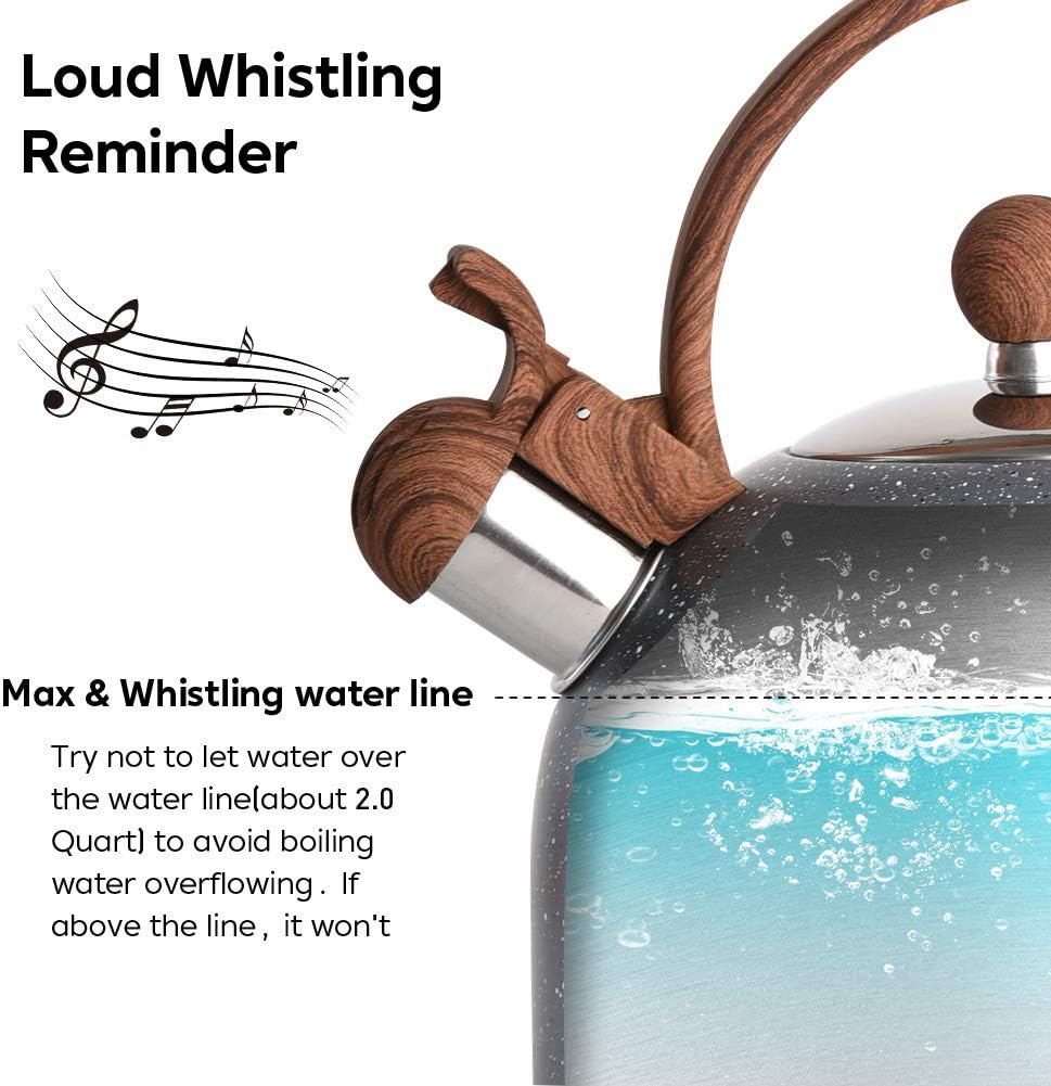25 Quart Stainless Steel Wood Pattern Tea Kettle for Stove-Top Style