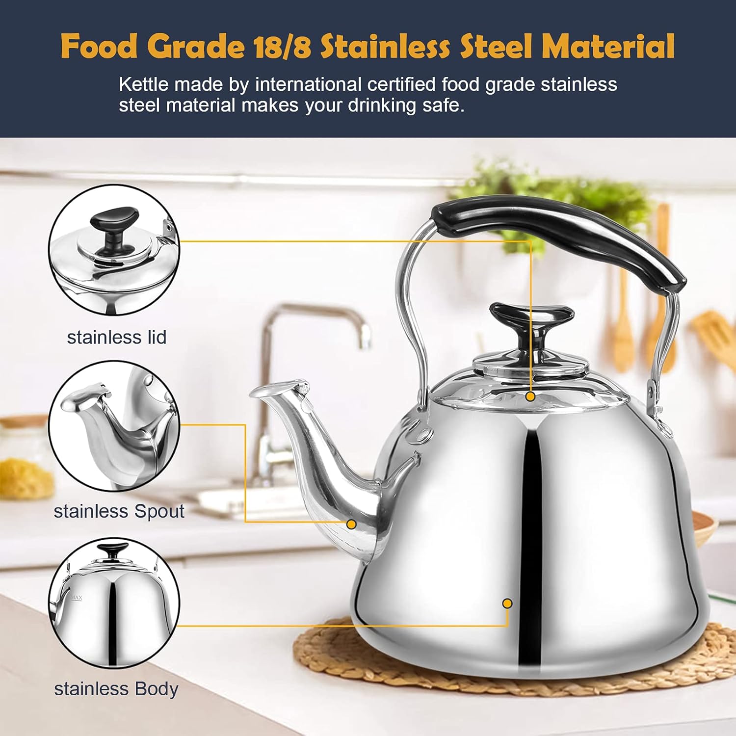 Stainless Steel Tea Kettle