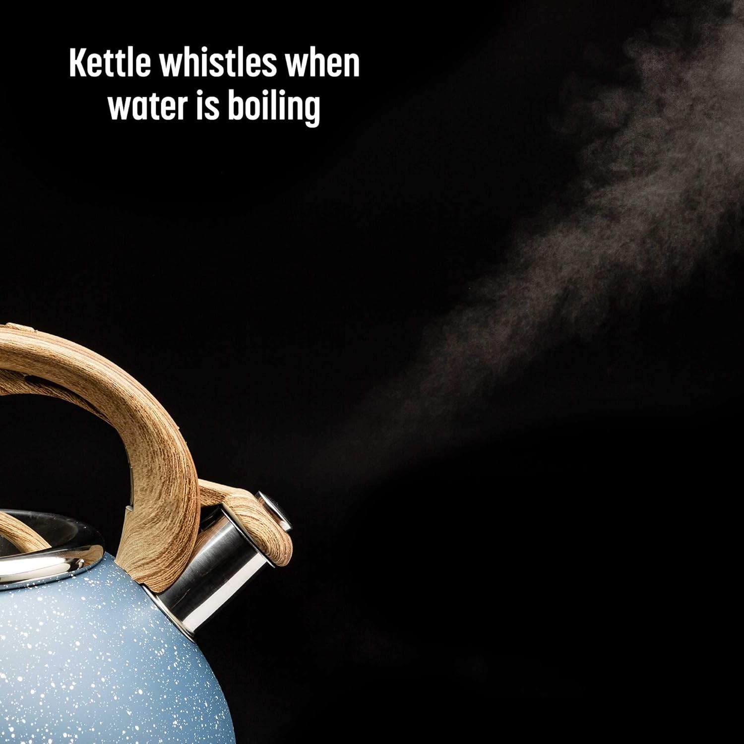 Goodful 25QT Stainless Steel Whistling Kettle with Trigger Spout