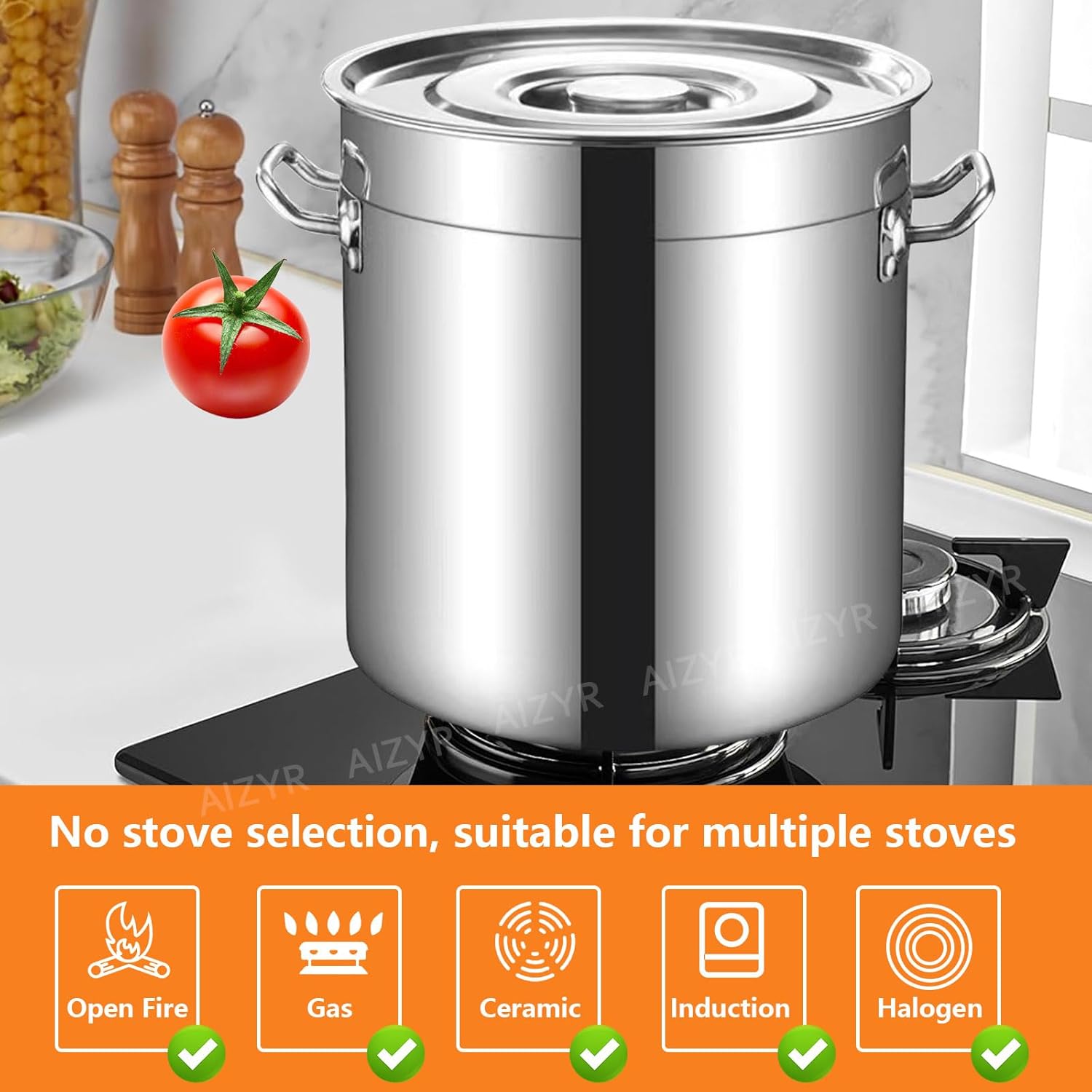 Stainless Steel Stock Pot