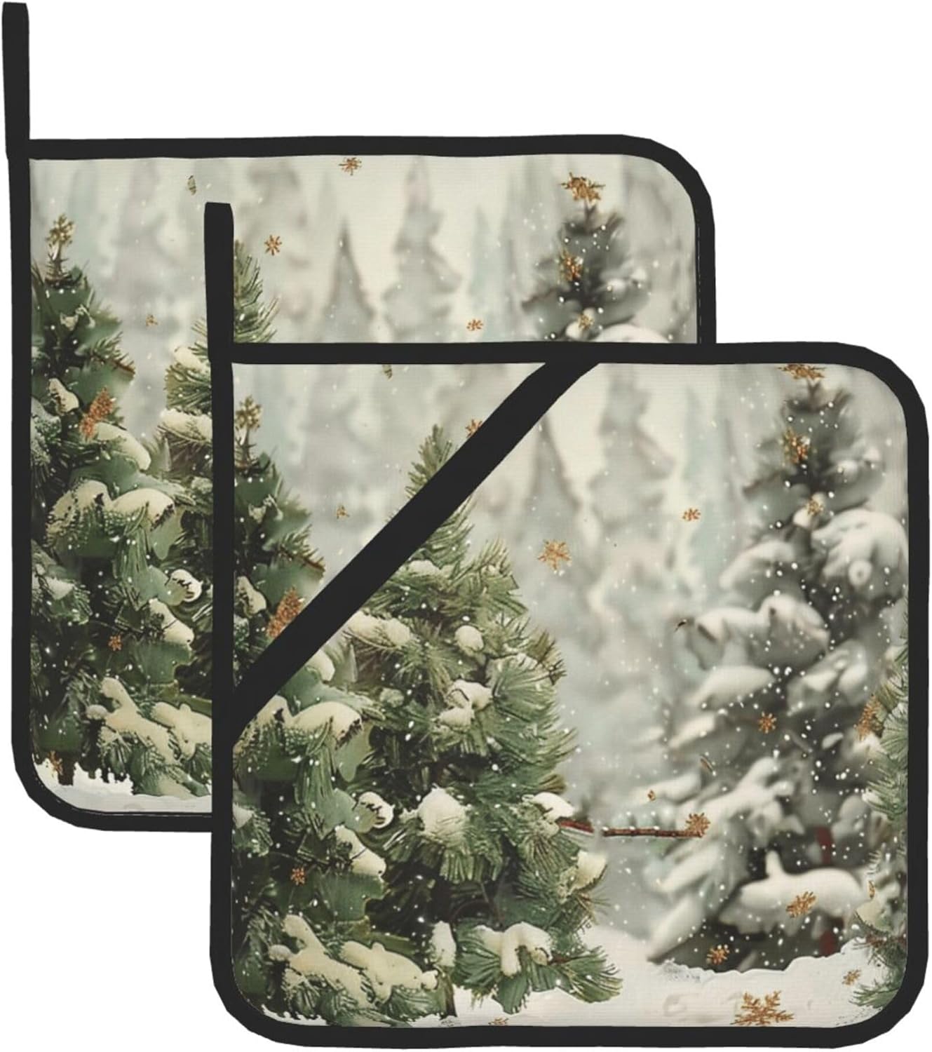 HOYYU Winter Snowflake Potholder Set of 2 Heat Resistant