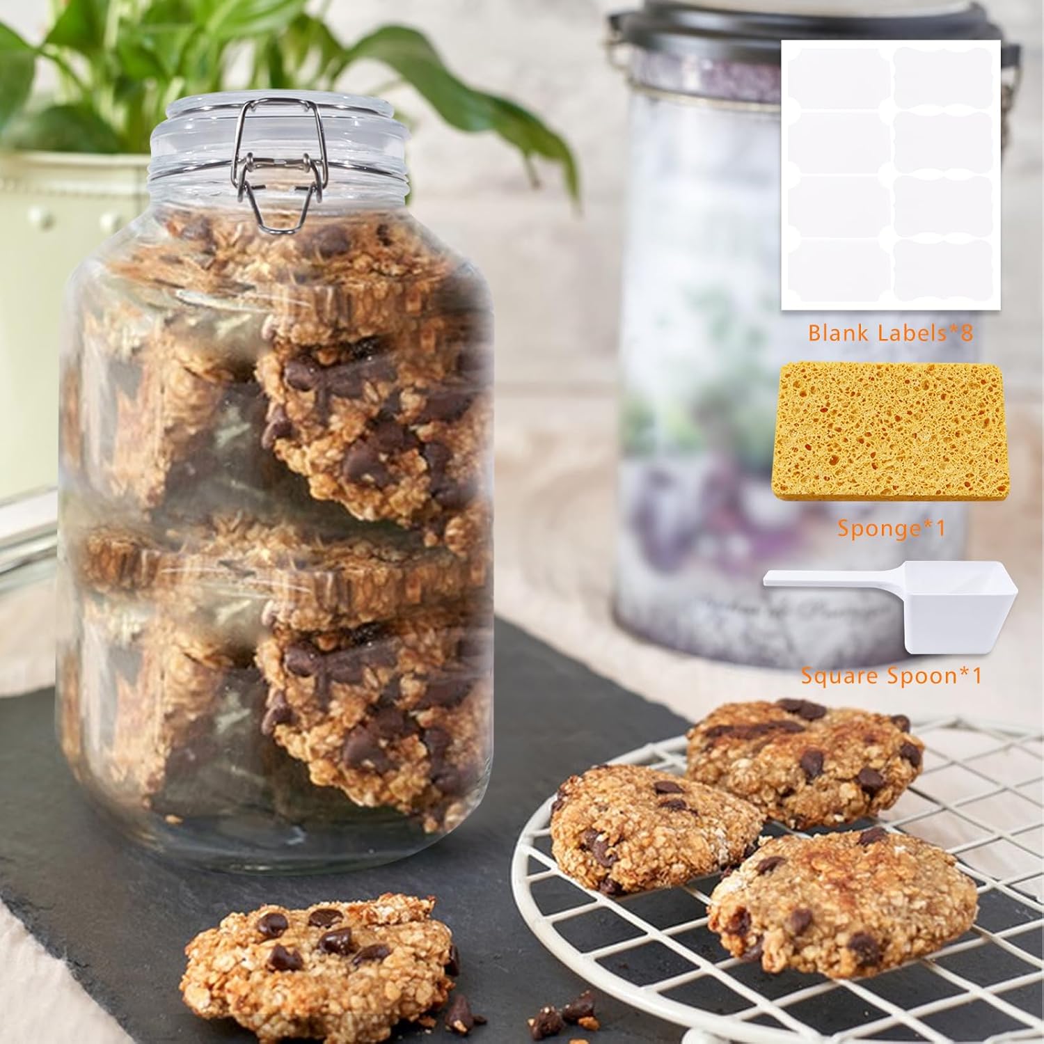 Versatile Glass Jar for Drying Preserving