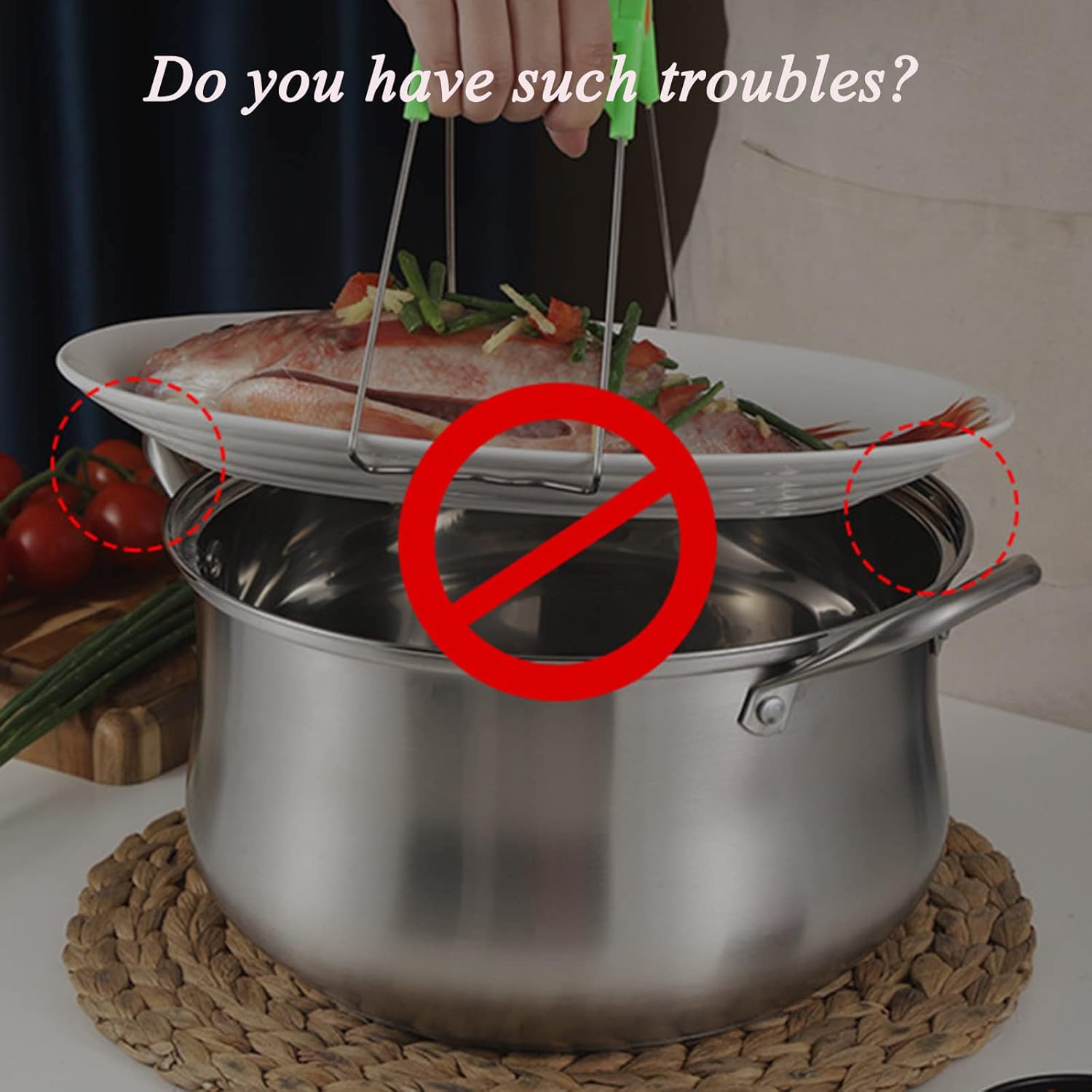 BINGWANGStainless Steel Fish Steamer