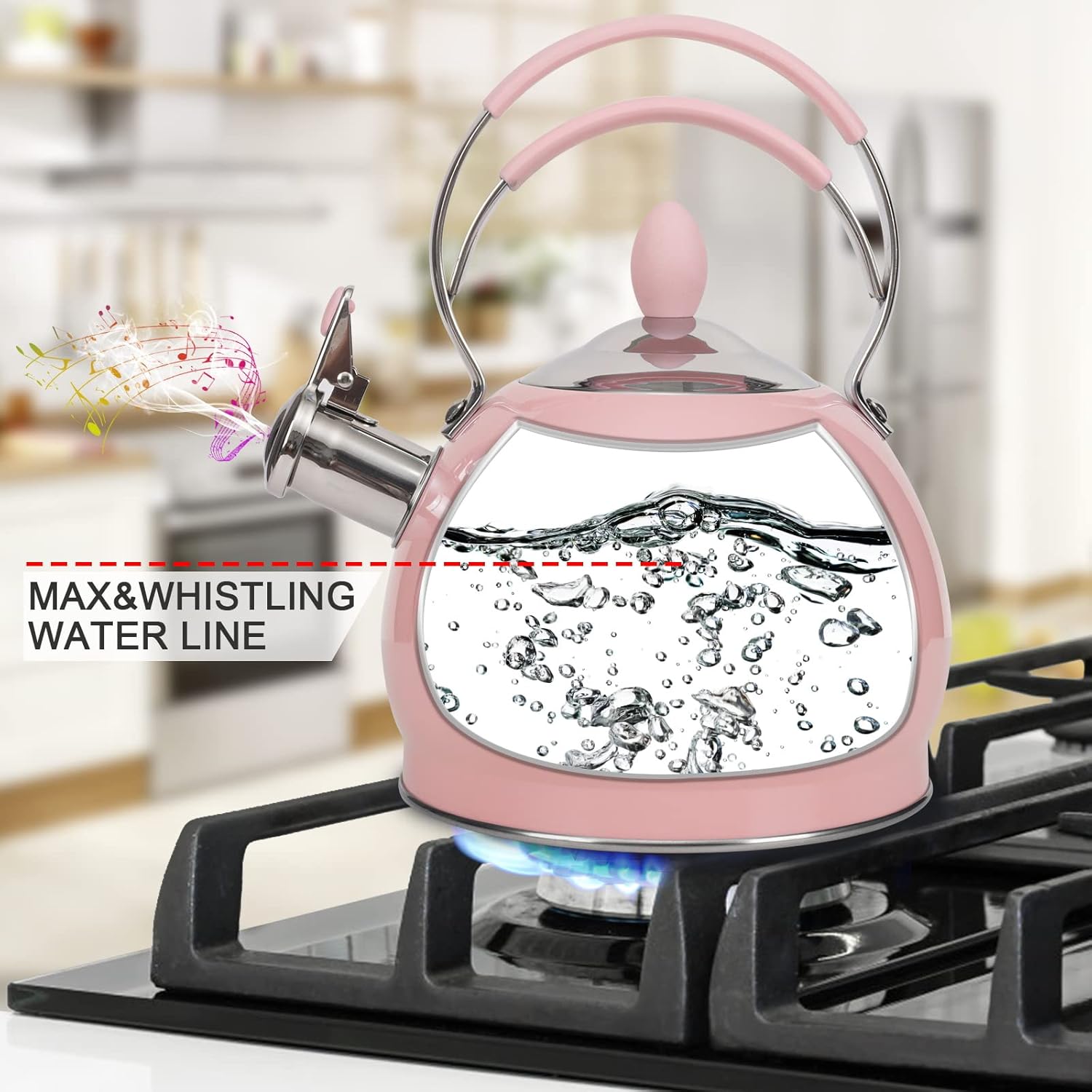 Whistling Stainless Steel Tea Pot 26 Quart Boil FastInduction Compatible
