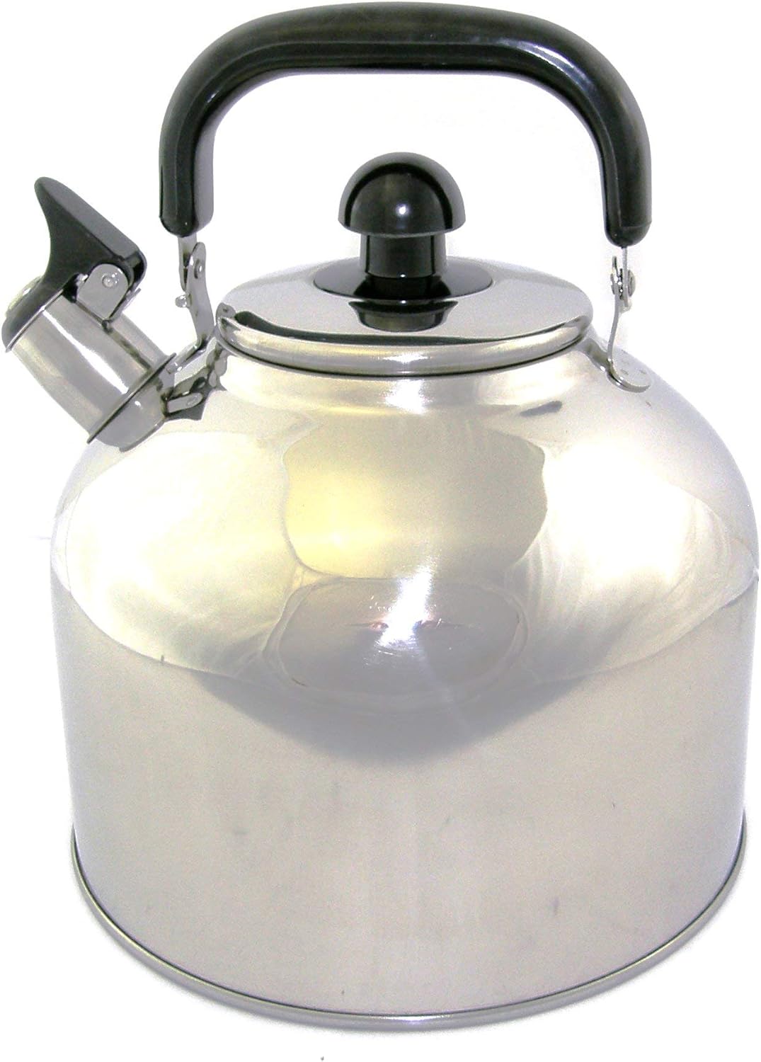 Stainless Steel Whistling Tea Kettle Large