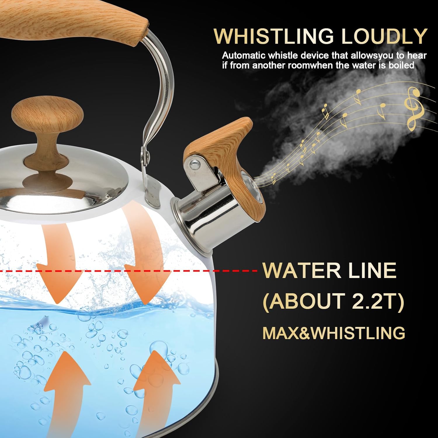 Fstone-Proof 22L Whistling Kettle with EHX